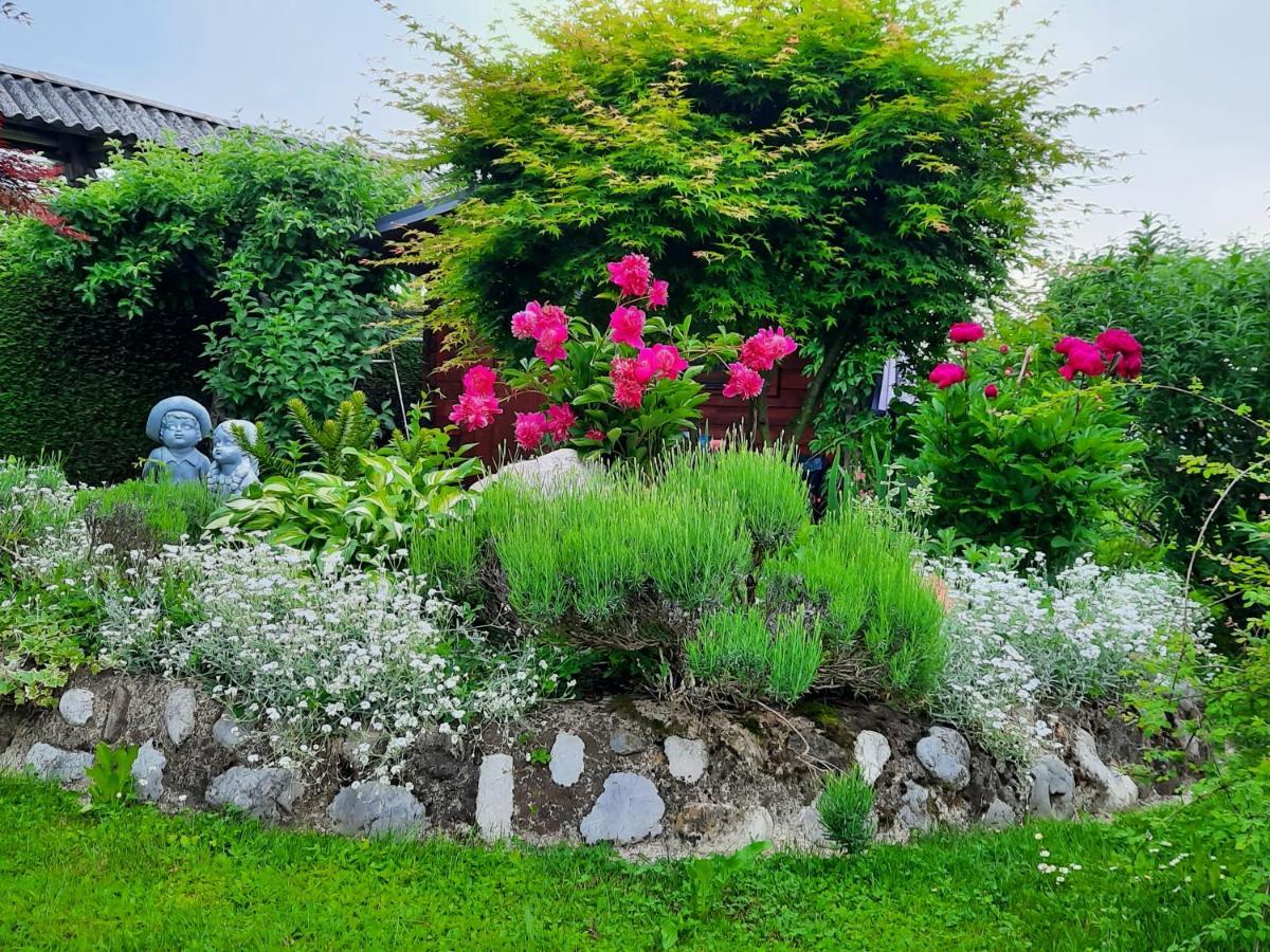 Garden Paradise Bled Apartments - Garden, Pond And Castle View Exterior photo